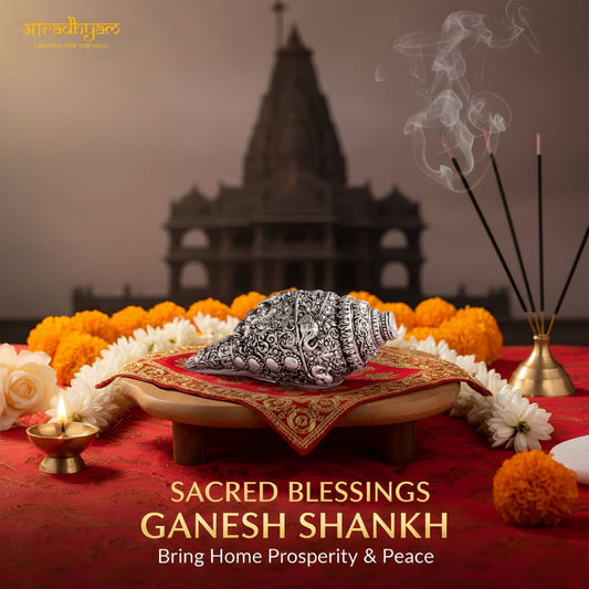 Ganesh Shankh (Conch, 5 inch)