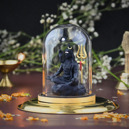 TAPASVI SHIV JI (Exclusive Edition)