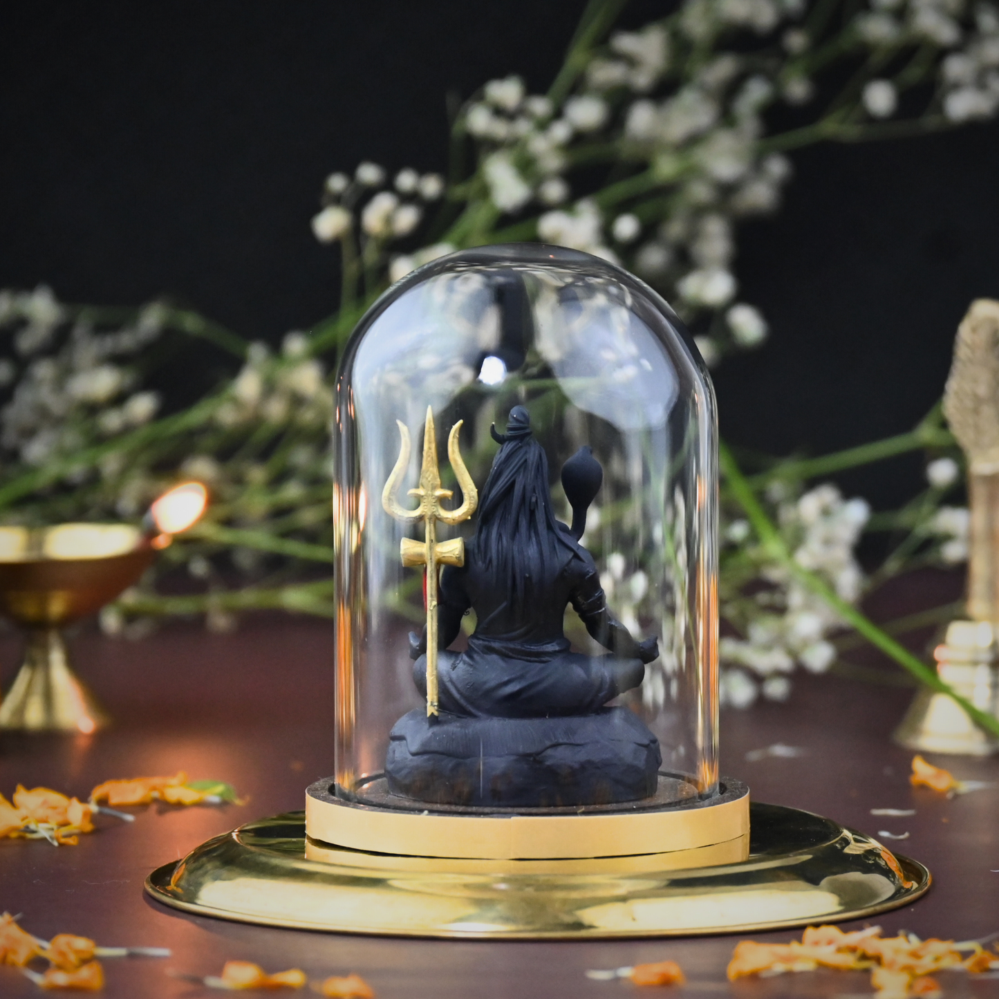 TAPASVI SHIV JI (Exclusive Edition)