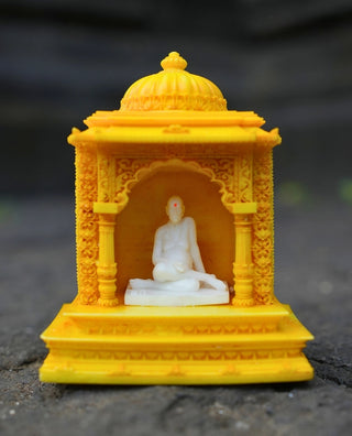 Yellow & White