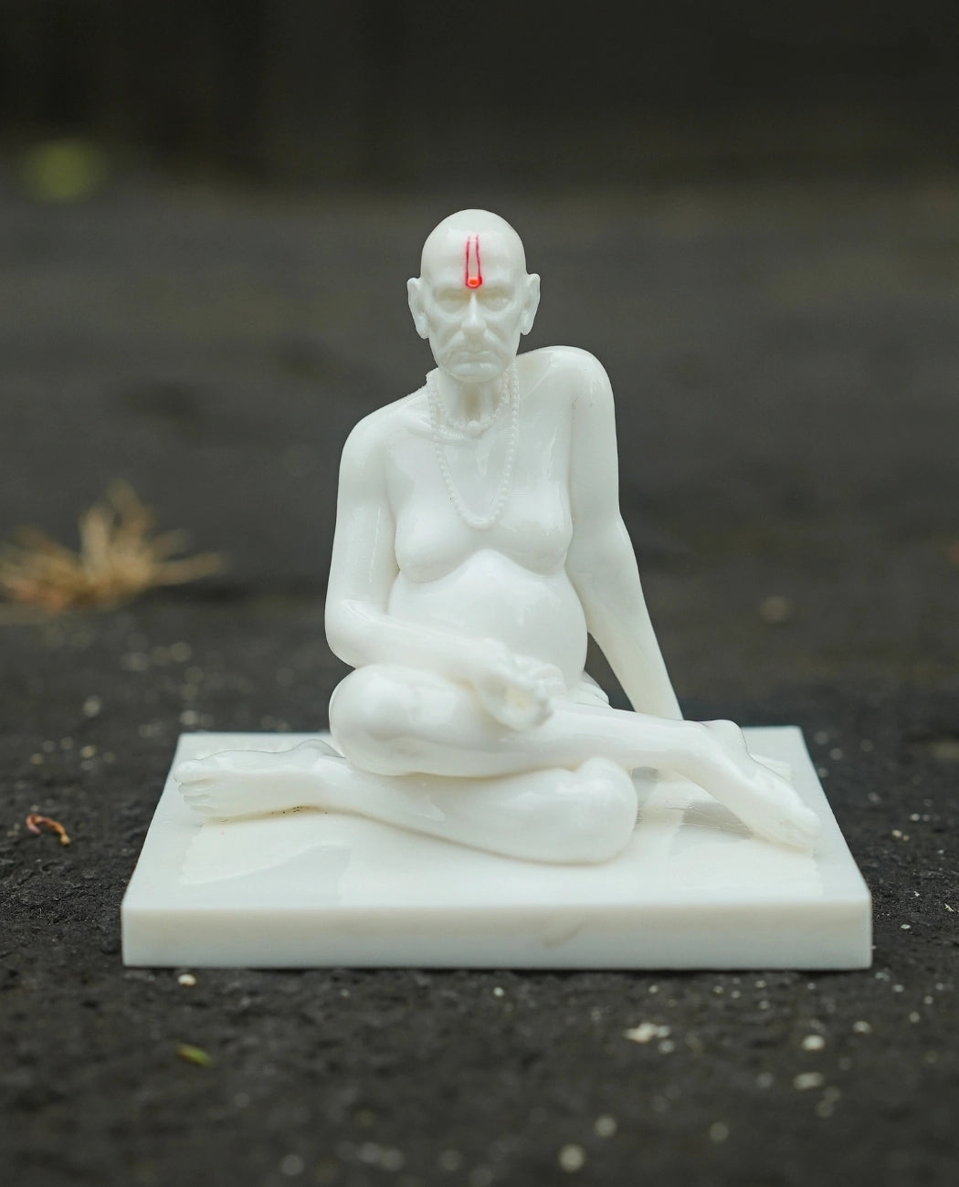 Shree Swami Samaratha (5 inch)