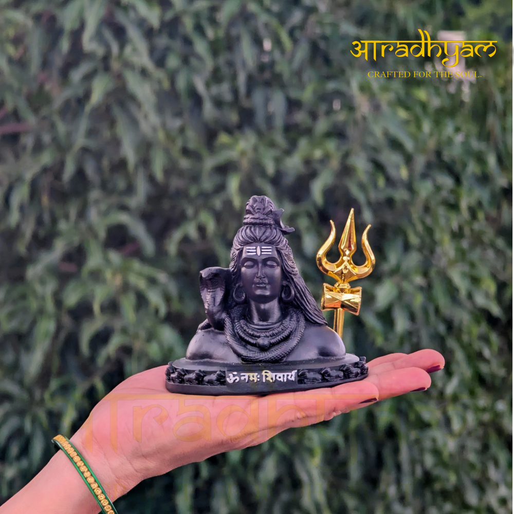 Shiv Adiyogi With Trishul