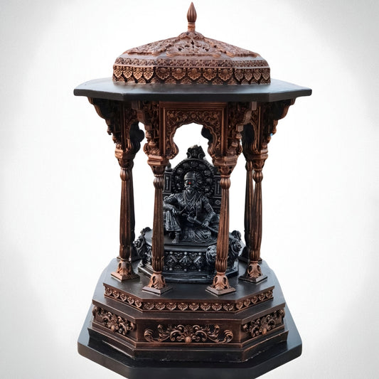Meghdambari Shivaji Maharaj with LED Light